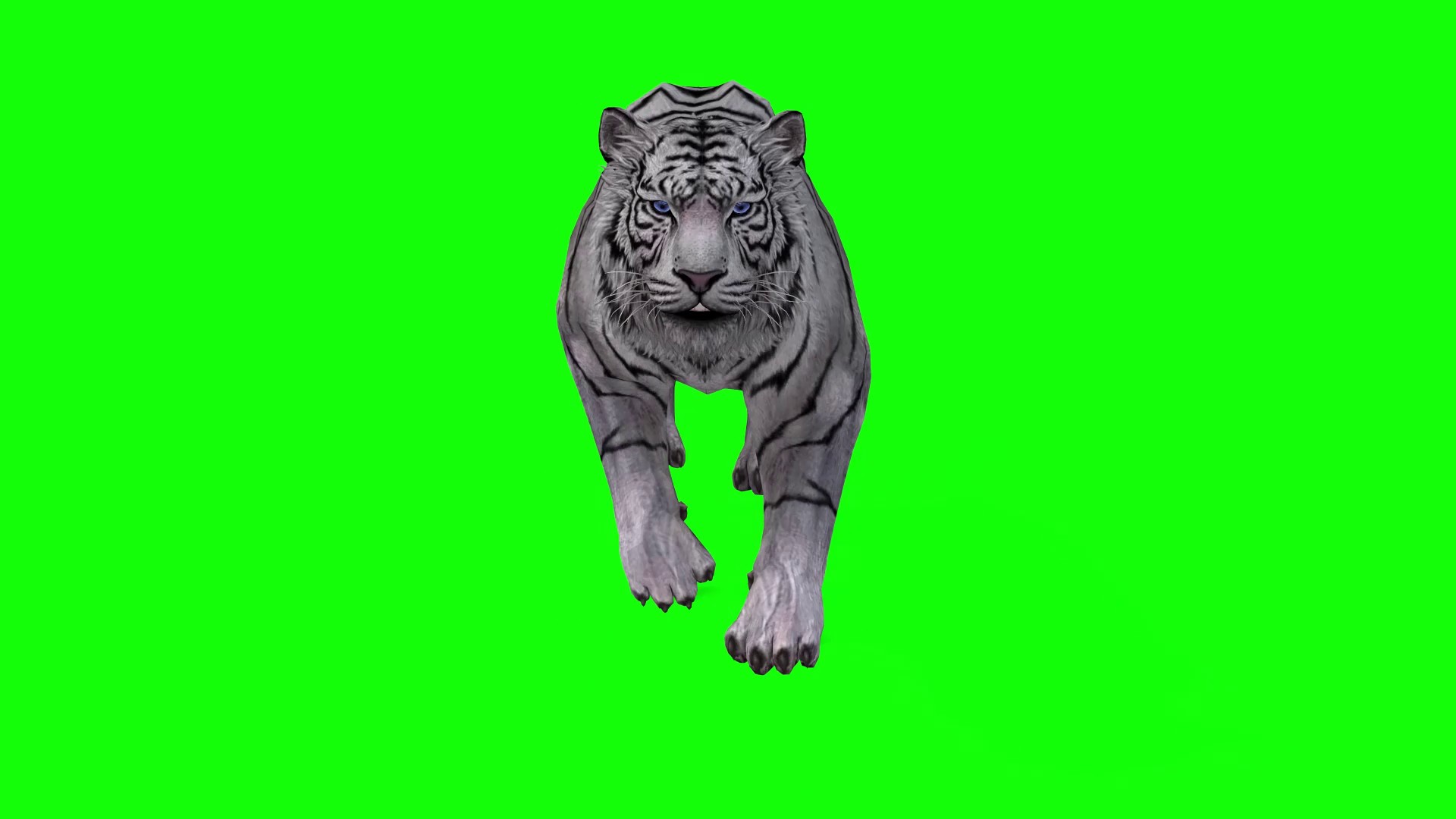 tiger green screen