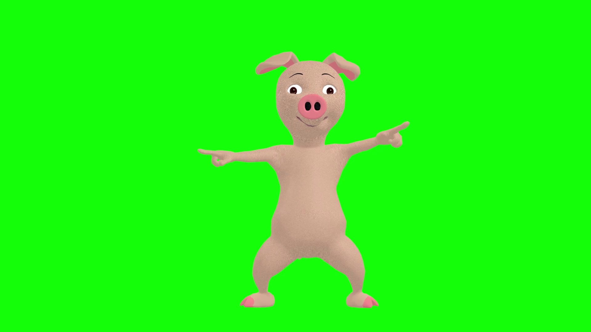 A video of a pig dancing funny